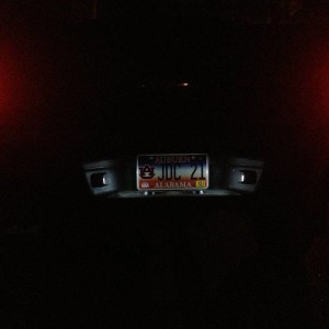 LED License Plate Bulbs