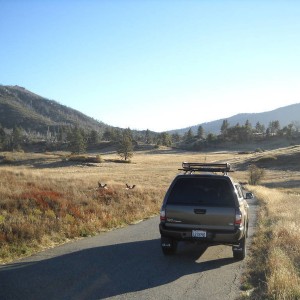 Cuyamaca Rancho