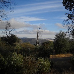 DSCN2679