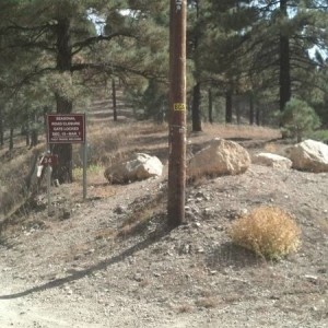 Mt lemmon