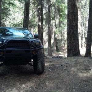 Mt lemmon