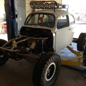Another buggy