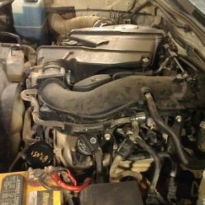 Fresh oil, brake fluid, power steering, air filter, spark plugs.....time to