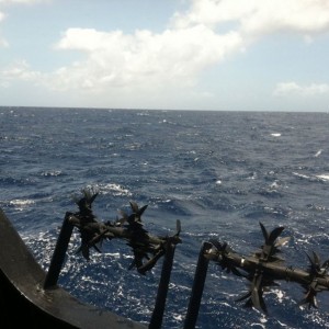 Photos don't do it justice... 5m waves = rocking like hell