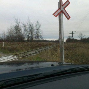 This message is brought to you by Rogers Snow