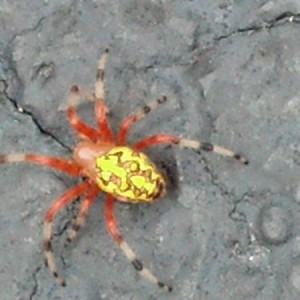 On my driveway.