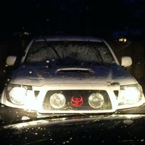 First snow and taco is grounded...fml.