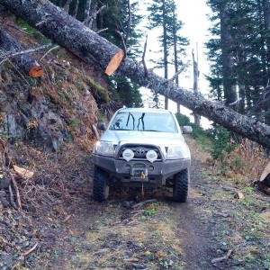IMG_20121104_163116_1_