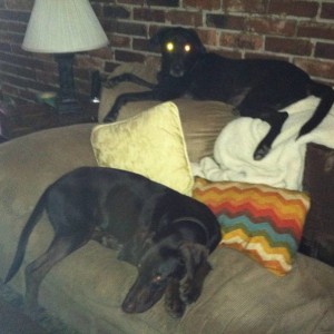 jager and tucker