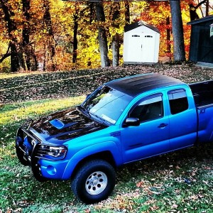 plasti dipped roof