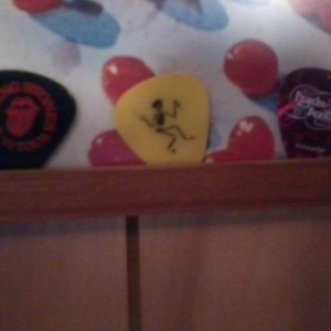 I got the prize last night. Caught Mike Ness' guitar pick.