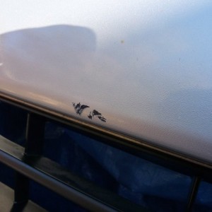 Old_Bumper_5