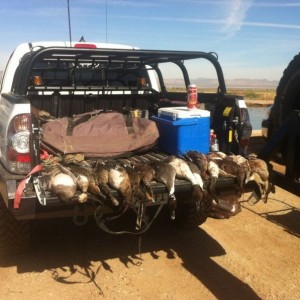 Whack em and stack em