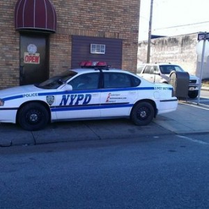 Fool must have taken a wrong turn....