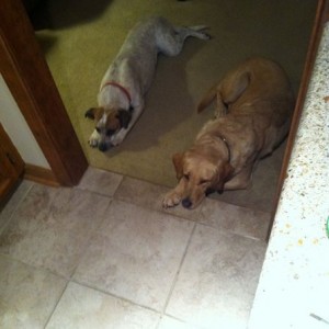 Watchin me eat