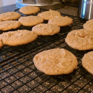 Pumpkin spice cookies