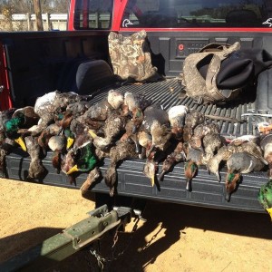 Just a "few" more today.. 48 total