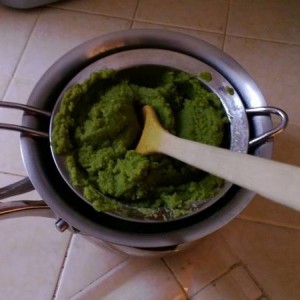 WP_20121116_004