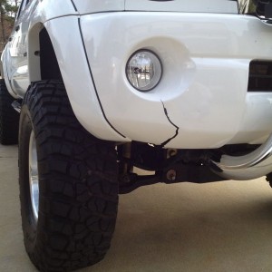 I hate deer!