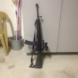 AR15a
