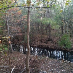 Got off work early and headed straight to the stand
