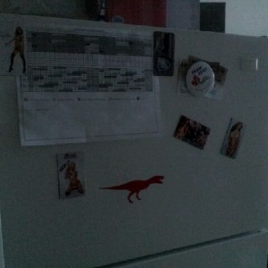 TT, he keeps the stripper magnets from stepping out of line on my fridge. T