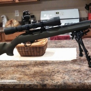 Got me a Bipod for me little Pea Shooter.