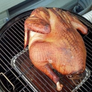 Turkey turkey turkey