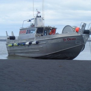 New Boat