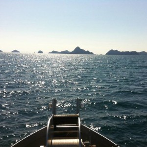 Chiswell Islands
