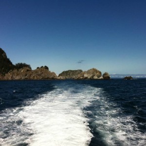 Chiswell Islands