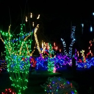 Xmas lights