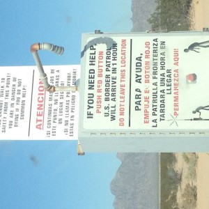 Zombie warnings in the desert