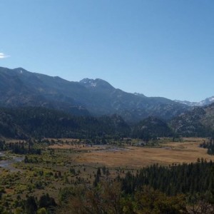 DSCN08431