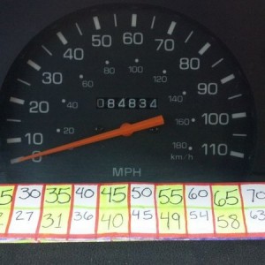New Speedo