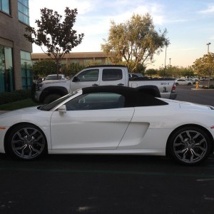Got to drive this baby. R8 V10.
