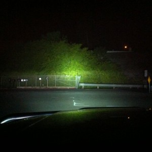 Fat, headlights, fogs and 20" bar