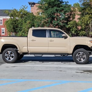 liverYzpz7.jpg