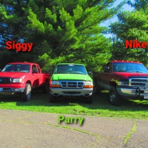 Siggy, Parry, and Nikey