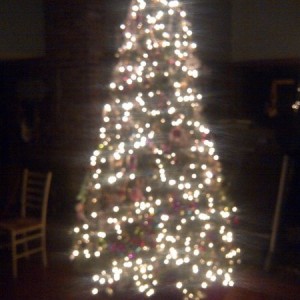 The tree... All 10' of it. :cool: