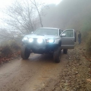 liveezxxKf