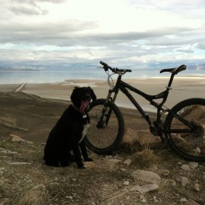 StumpJumper
