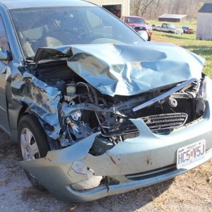 Deer hit