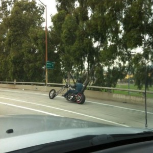 Easy rider