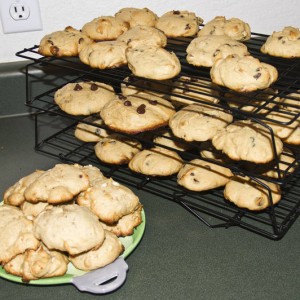 cookies4