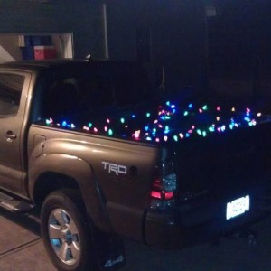 lights 1