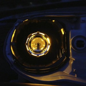 halo in shroud