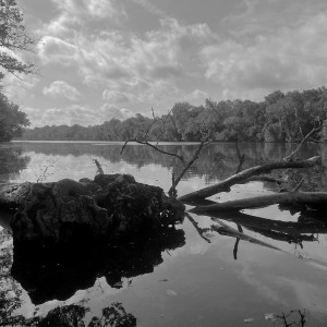 Cape Fear River 1