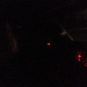 The wife driving, i am :drunk: