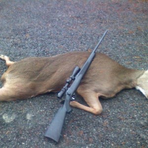 Big doe.